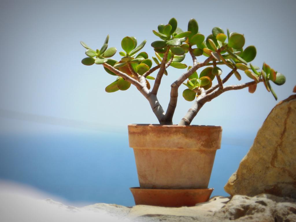 Appartamento Don Nino Lido di Noto Ngoại thất bức ảnh